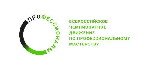 профессионалы.jpg