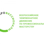 профессионалы.png