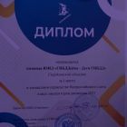 Диплом.jpg