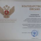 2eee5815zudzlowb6nizhb8gumfgrimm.jpg