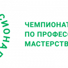 проф4.png